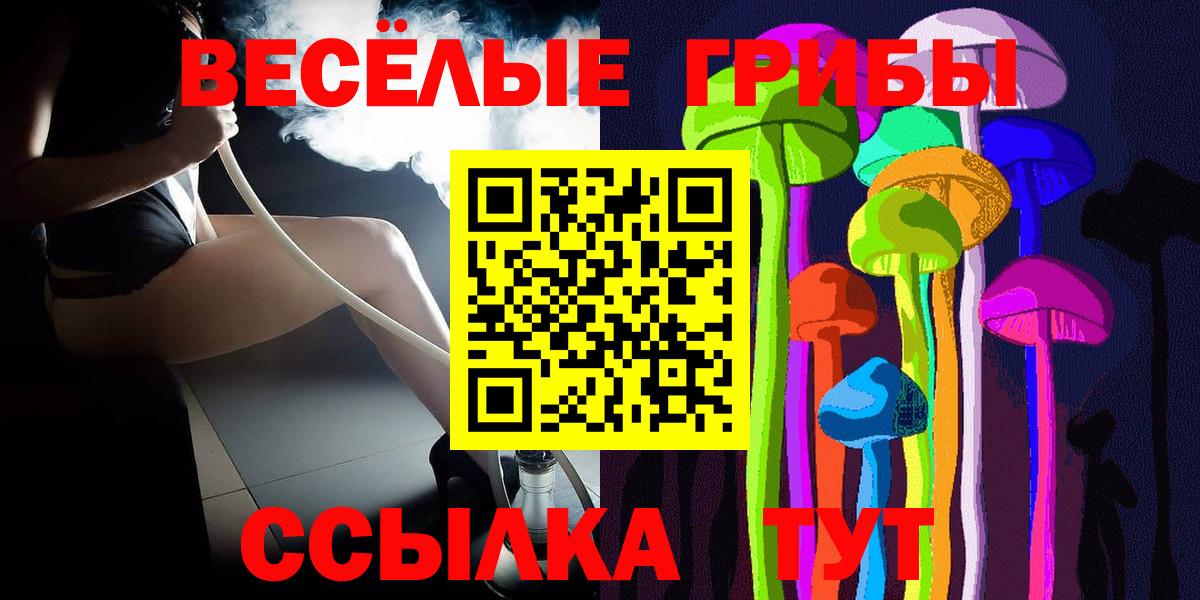 Глазов  Псилоцибиновые грибы Psilocybine cubensis  Вход с VPN 