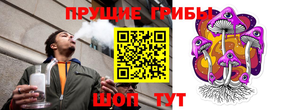 Псилоцибиновые грибы прущие грибы Глазов